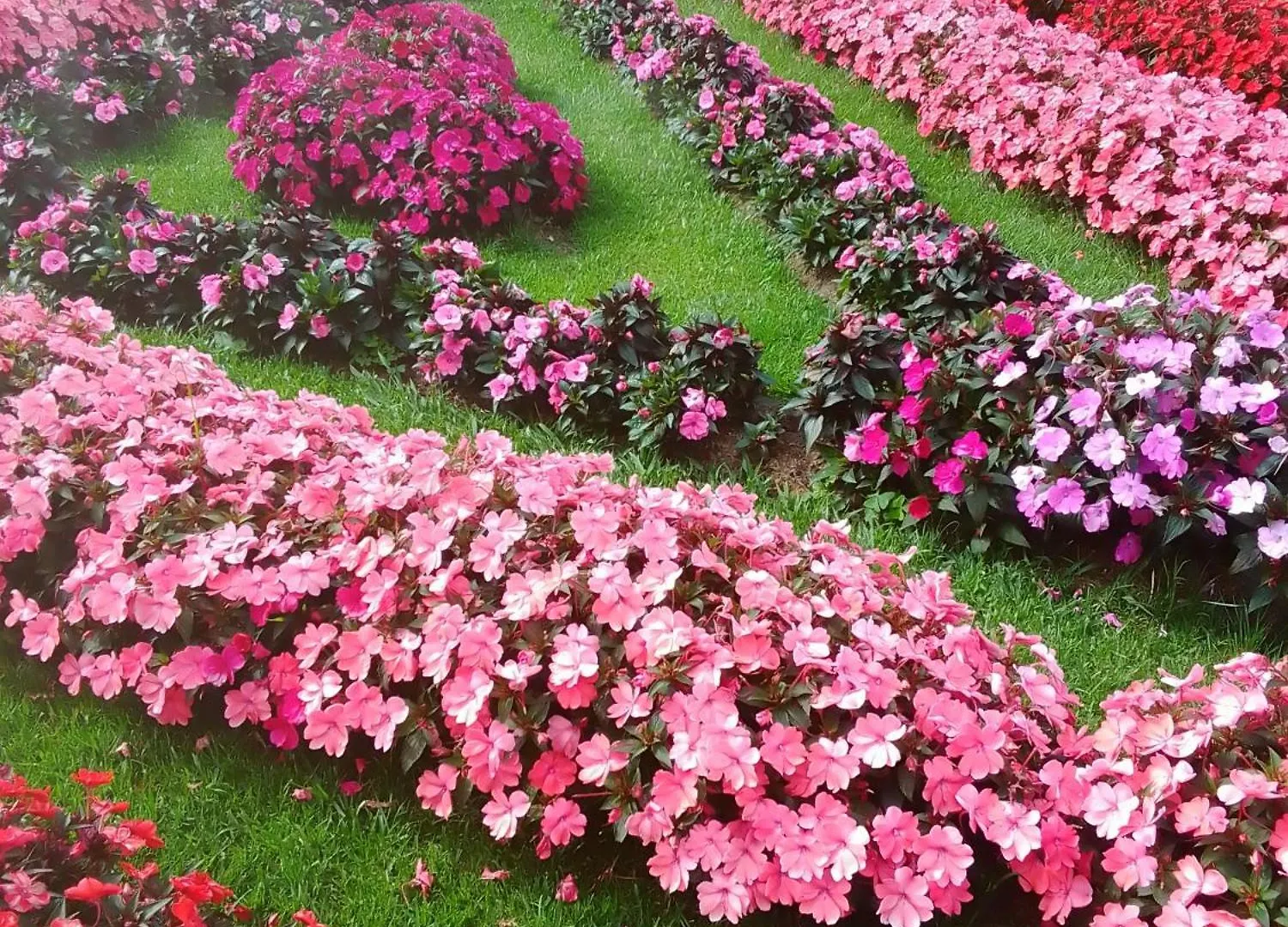 Drizzle Ridge Hotel Nuwara Eliya