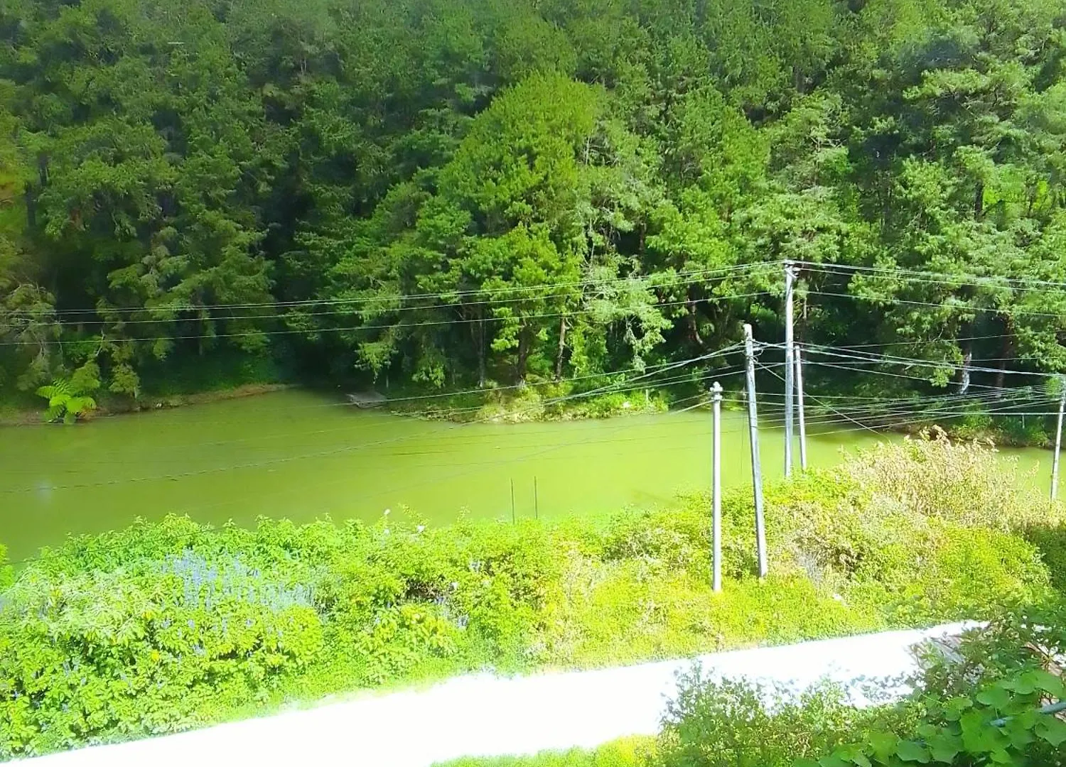 Drizzle Ridge Hotel Nuwara Eliya Sri Lanka